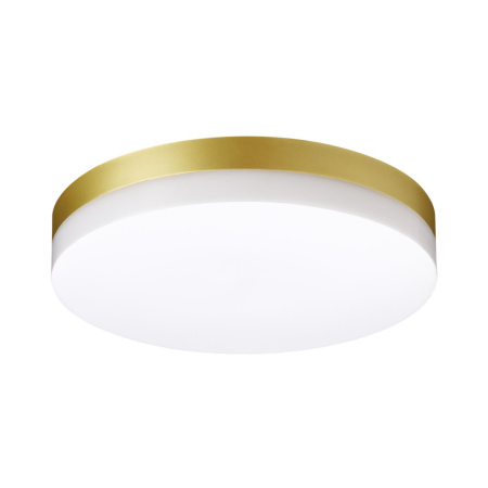 Св-к ландшафтный св/д IP54 LED 4000К 30W 220V OPAL золото NOVOTECH
