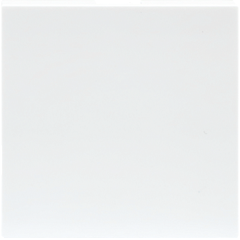 Donel Заглушка 2 мод., бел. (45х45мм)