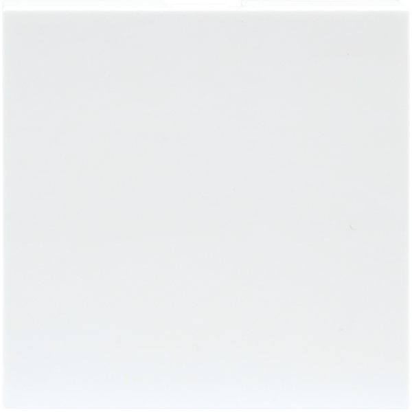 Donel Заглушка 2 мод., бел. (45х45мм)