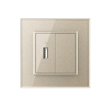 Розетка с одним USB type-A, блоком питания 5В 2.1А 1 пост, цвет шампань Livolo