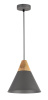 Подвесной светильник 1*E27 60Вт Черный IP20 Bicones P359-PL-220-C Maytoni