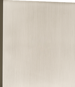 Donel N96 Заглушка, Никель, серия DT