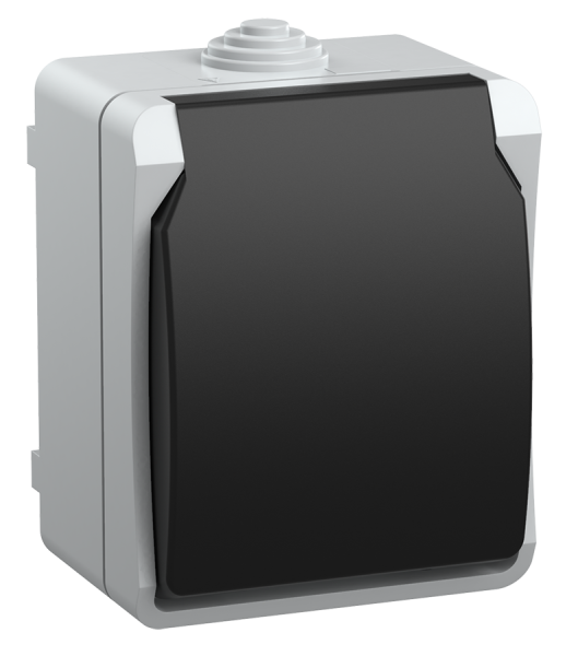 Розетка 1-местная для ОУ РСб20-3-ФСр с з/з ФОРС IP54 IEK