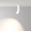 Потолочный светильник LED 10Вт Белый IP20 Ceiling & Wall C027CL-L10W4K Technical Maytoni