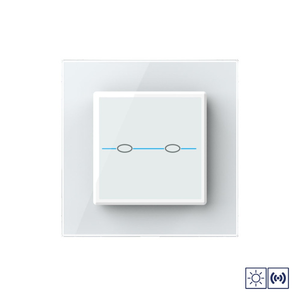 Сенсорный импульсный выключатель Quadro сухой контакт 2 клавиши 1 модуль Белый Livolo