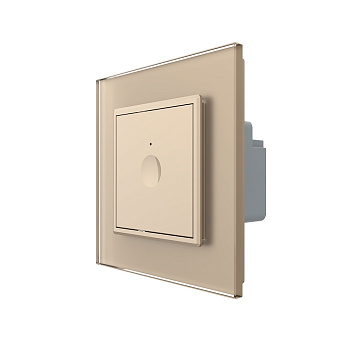 Одноклавишный сенсорный выключатель Module, цвет золотой Livolo