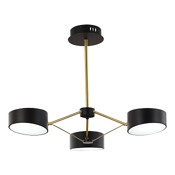 Светильник потолочный Черный, Золотистый/Черный LED 3*10Вт SLE6005-402-03 EVOLUCE
