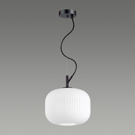 Подвес E27 60W ROOFI белый/черный C ODEON LIGHT