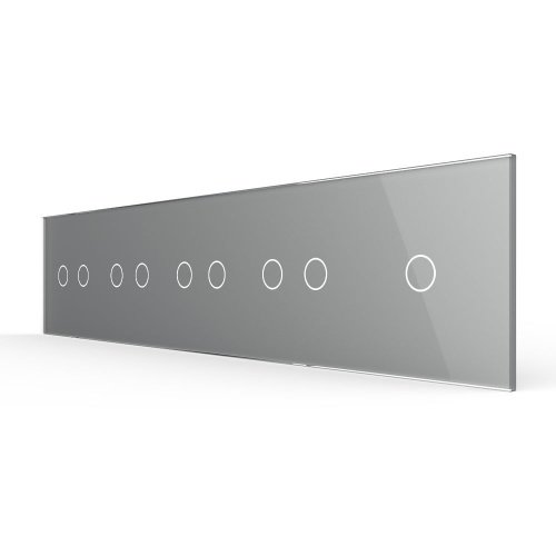 Панель для пяти сенсорных выключателей, 9 клавиш (2+2+2+2+1), цвет серый, стекло Livolo