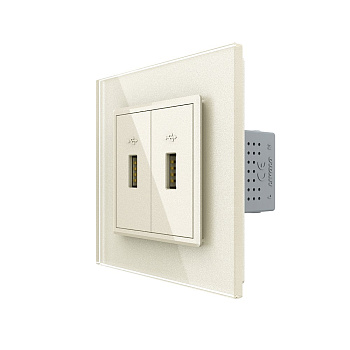 Розетка с двумя USB type-A, блоком питания 5В 2.1А 1 пост, цвет жемчужный Livolo