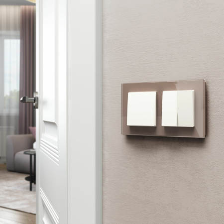 Выключатель одноклавишный (белый матовый) СУ IP20 Werkel