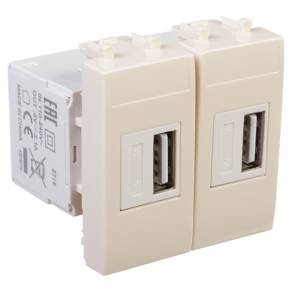 USB зарядное устройство модульное, "Avanti", "Ванильная дымка", 2 модуля DKC