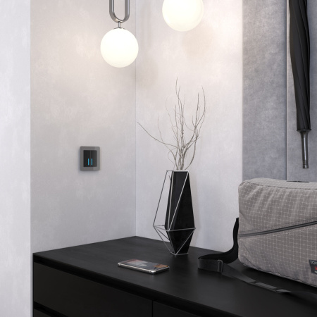 Acrylic Рамка на 1 пост графит Werkel