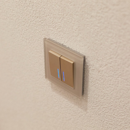 Выключатель двухклавишный проходной с подсветкой (шампань рифленый) СУ IP20 Werkel