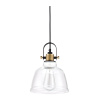 Подвесной светильник 1*E27 40Вт Черный IP20 Irving T163-11-W Maytoni