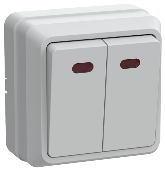 Выключатель 2-клавишный ОУ с индикацией ВС20-2-1-ОБ 10А ОКТАВА белый IEK