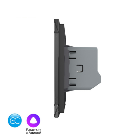 Одноклавишный умный сенсорный выключатель EC, 1 пост, цвет черный Livolo