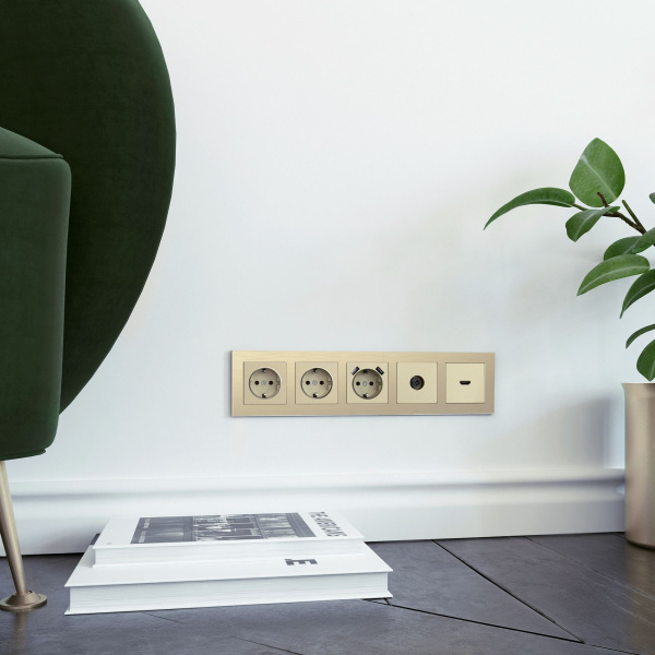 Aluminium Рамка на 5 постов (шампань алюминий) Werkel