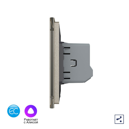 Двухклавишный проходной умный сенсорный выключатель EC, 1 пост, цвет шампань Livolo