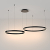 Подвесной светильник 2*LED 88Вт Черный IP20 Rim MOD058PL-L74B3K Maytoni