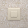Выключатель одноклавишный в стену, "Avanti", "Ванильная дымка" DKC