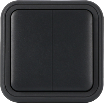Donel W55 Рамка с клавишей для скрытой установки переключателя двухклавишного, антрацит, IP55, серия (тип) DIP55