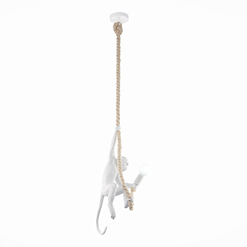 Светильник подвесной Белый E27 1*60Вт SLE115103-01 EVOLUCE