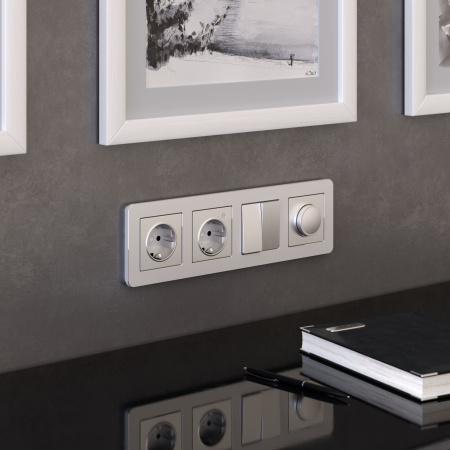 Platinum Рамка на 4 поста алюминий Werkel