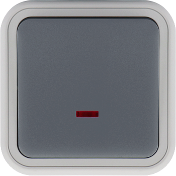 Donel W55 Выключатель звонкового типа 1-кл. накладной, с подсв., серый, IP55, серия (тип) DIP55