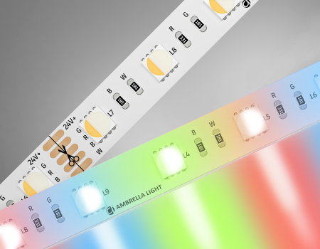 Светодиодная лента RGB с холодным белым светом GS4403 5050 60Led/ 10W m/ 24V IP20 RGBW+6500K/ 5000*10*1.87mm/ (5 конт.) Ambrella Light