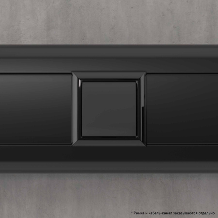 Вывод кабеля модульный "Avanti", "Черный матовый", 2 модуля DKC