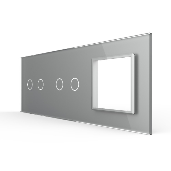 Панель тройная: 2 выключателя + 2 выключателя + 1 розетка Серая Livolo