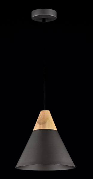 Подвесной светильник 1*E27 60Вт Черный IP20 Bicones P359-PL-220-C Maytoni