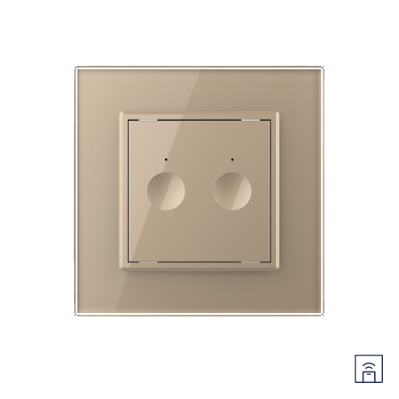 Двухклавишный сенсорный выключатель Module с функцией радиоуправления, цвет золотой Livolo