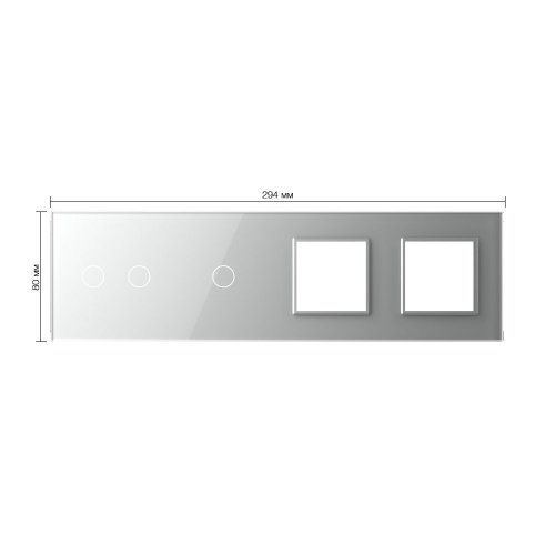 Панель для 2-х сенсорных выключателей и 2-х розеток, 3 клавиши (2+1), цвет серый, стекло Livolo фото 2