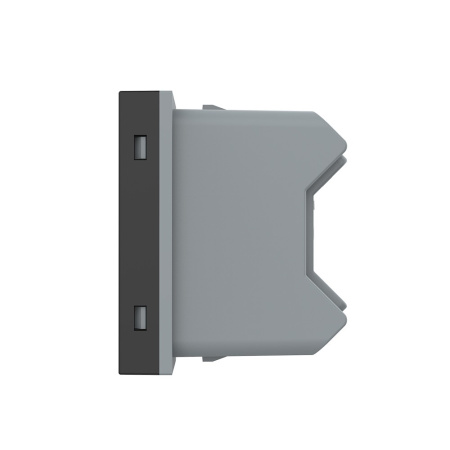 Розетка с защитными шторками черная (механизм) Livolo