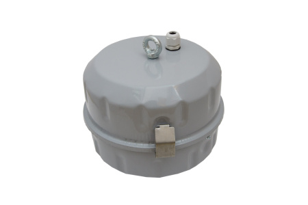 Светильник РСП 99-250-300 (Бокс IP65) E40 TDM