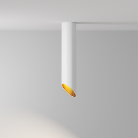 Потолочный светильник 1*GU10 35Вт Белый с Золотом IP20 Ceiling & Wall C044CL-01-30GU10-W Technical Maytoni