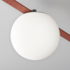 Подвесной светильник LED 10Вт Черный IP20 Pendant system Parity TR125B-10W4K-B Technical Maytoni
