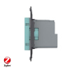 Розетка ZigBee (Wi-Fi) с з/з с защитными шторками 16A, цвет зеленый (механизм) Livolo