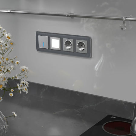 Elite Рамка из стекла на 4 поста графит Werkel