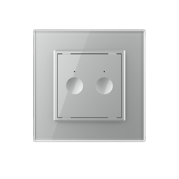 Двухклавишный сенсорный выключатель Module, цвет серый Livolo