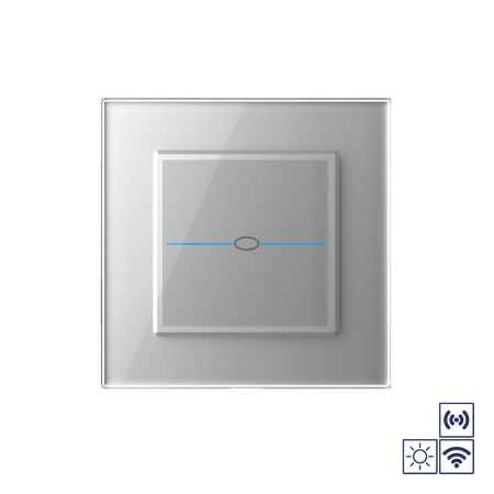 Сенсорный импульсный радиоуправляемый выключатель Quadro сухой контакт 1 клавиша Серый Livolo
