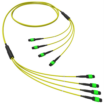 Оптическая магистральная сборка 48 ОВ 9/125 OS2, 4xMTP(12)m/4xMTP(12)m, тип В, 250 м DKC