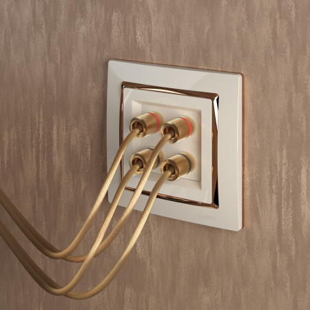 Акустическая розетка (слоновая кость) СУ IP20 Werkel