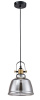 Подвесной светильник 1*E27 40Вт Черный IP20 Irving T163-11-C Maytoni