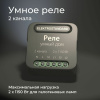 Умное двухканальное реле черный IP20 (a059326) Elektrostandard