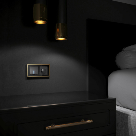 Baguette Рамка на 2 поста (черный/латунь) Werkel