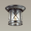 Уличный потолочный св-к IP44 E27 60W 220V SATION черный/зол.патина ODEON LIGHT