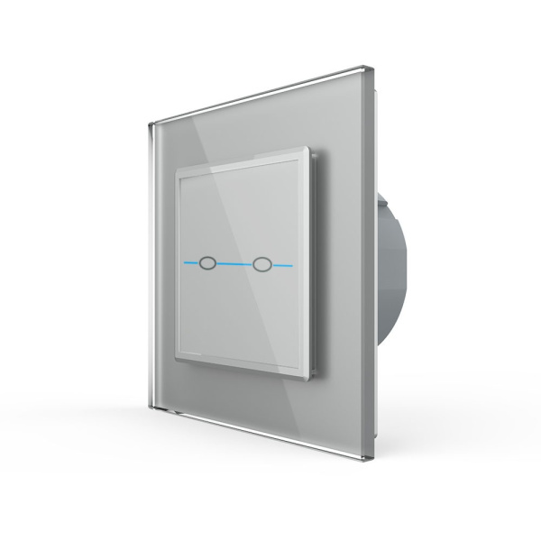 Сенсорный выключатель Quadro 2 клавиши 1 пост Серый Livolo